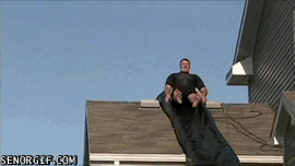 d50e5d214c15fa3ddc4bf0ac95576ad6.gif