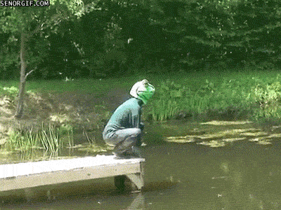 d619b54f63384a460a6ad0960b8d09f5.gif