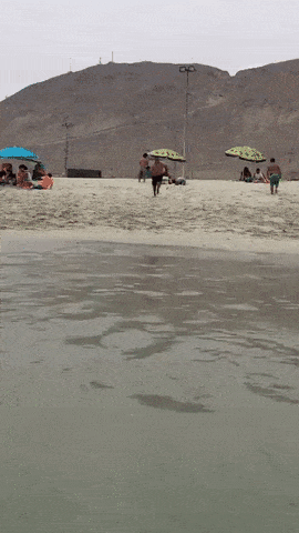 d6ccbb5d90d558ce6393f42fec6879e3.gif