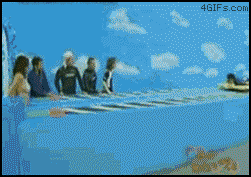 d6df4d4dabc9bd6c87623773bc6c6bb0.gif