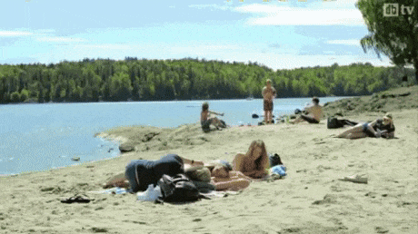 d790ffbc670343a246246eed89545196.gif