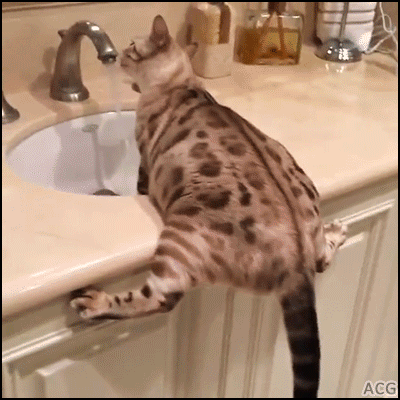 e0e2ade836bcf07d02263132c85a4be4.gif