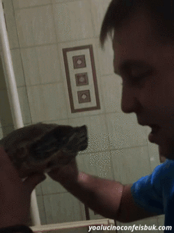 e446400561211ad7f1ac5d1f1fd84cfa.gif