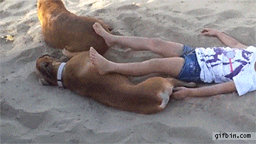 e4a76db2f762e24715e138a4314e7909.gif