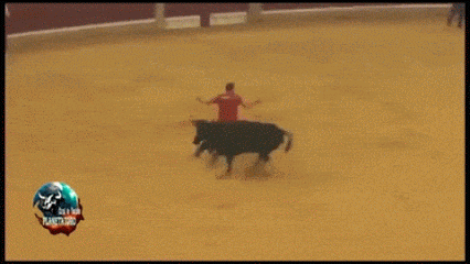 e82bb1f47577135839773bfe61388507.gif