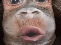 ea3508489dae23bb356ac1028899c10e.gif