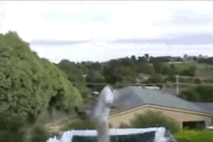 f38ccd88ef7a0a1981b6b8e9b8bb613b.gif