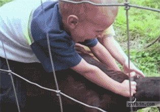 f7ee6227c69941c5e77908446b01af2c.gif
