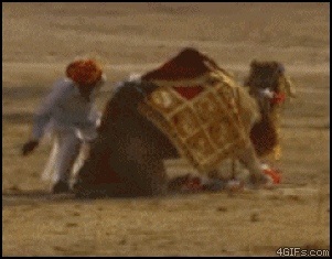 fd0ddead4dca12b6bfc254bf668bf5b4.gif