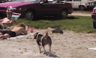 http://gif.wiocha.pl/images/f/f/ffc7419a9aa70144d49ae6127078fef1.gif