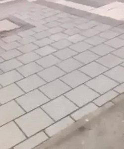122ca8b457d0a23587cee1142341c8e1.gif