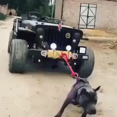 265825372cb9f8951710639f9fe76bd8.gif