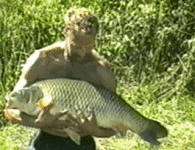 4458a9fbc6f40f8fcb6c9c0d72a01cab.gif