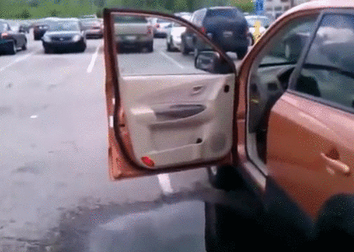 7af2b676117f6097a8c78723157b28b8.gif