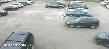 80c03069823318cb0df7546525752280.gif