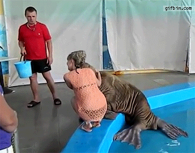a0ee22eaa6ce6ce5465aeb913f9a9bd3.gif