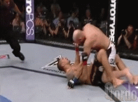 d2a00d6bf2774a187177fe798dcdc625.gif