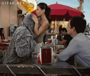 fdaf33ef3c5325c997cc56cdc0b59812.gif
